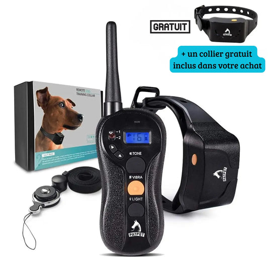 Contenu du pack collier de dressage pour chien avec télécommande, deux colliers récepteurs, câble, manuel et adaptateur.
