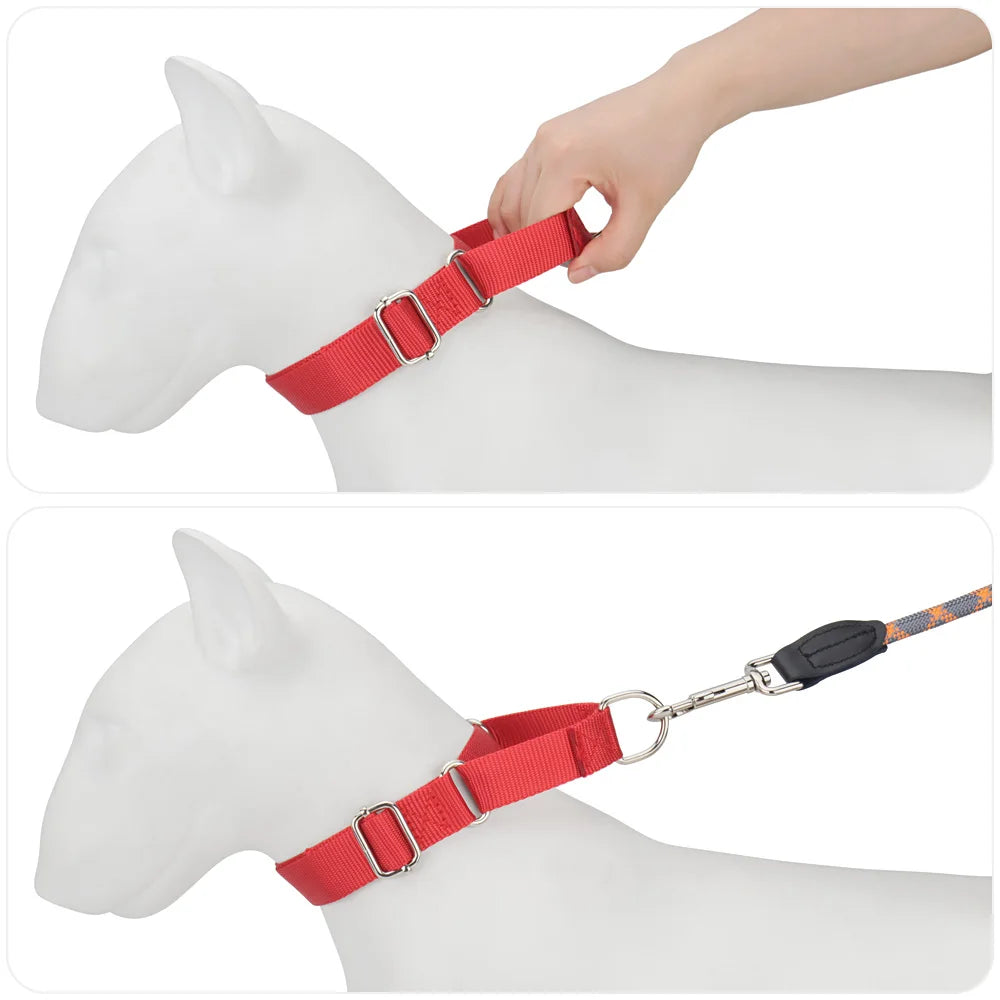 Démonstration du fonctionnement d’un collier martingale rouge sur mannequin de chien.