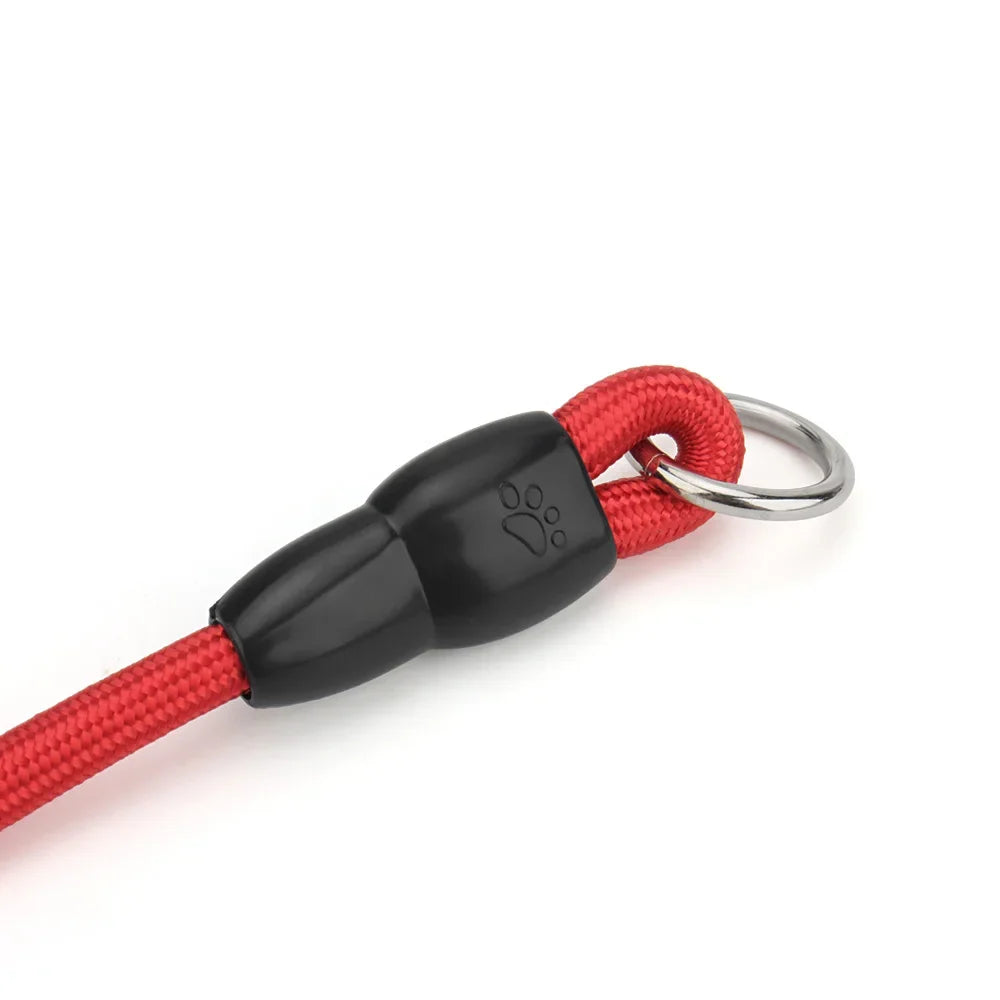 Gros plan de l’extrémité d’un collier rouge pour chien avec anneau métallique.