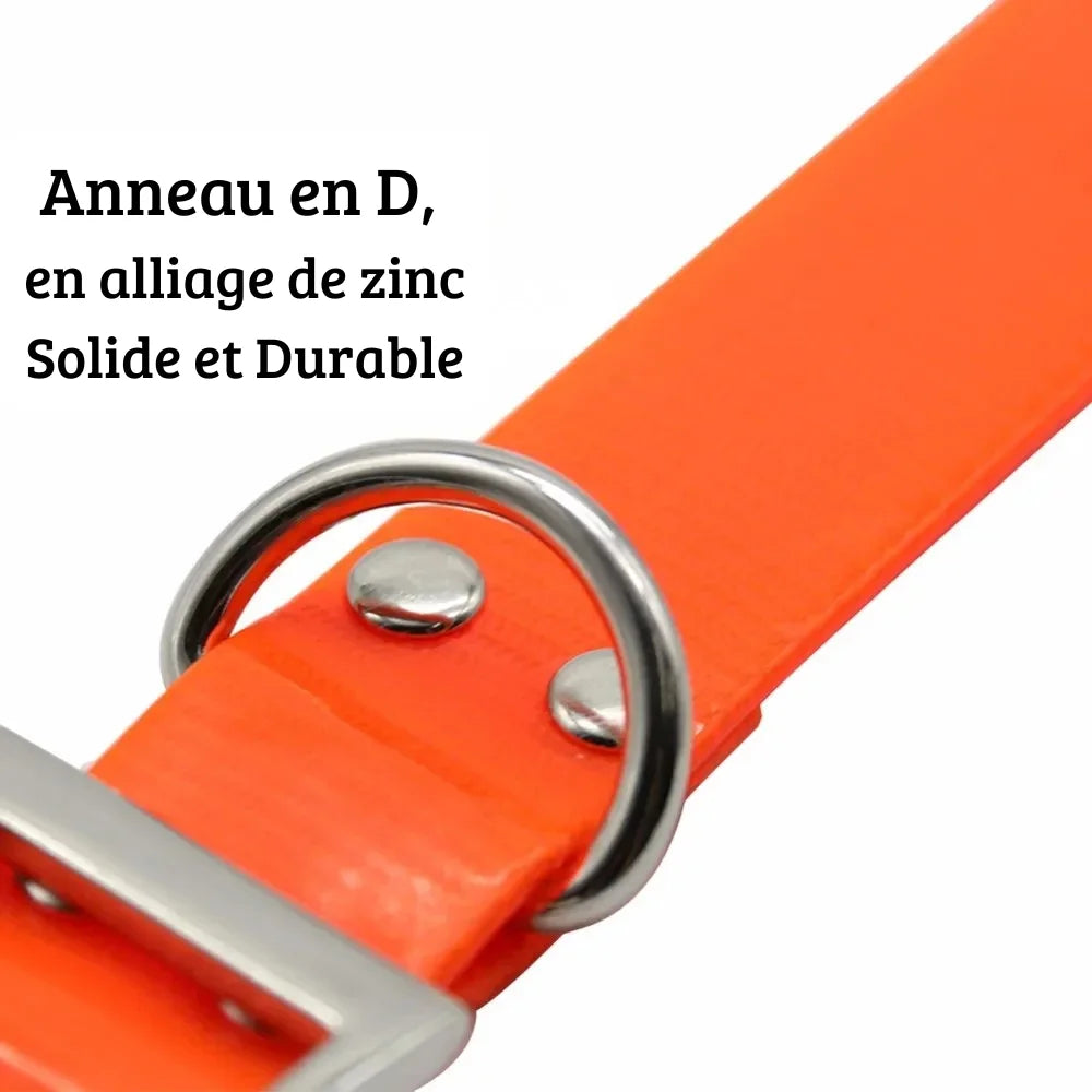 Gros plan sur l’anneau D métallique du collier pour chien en TPU orange.