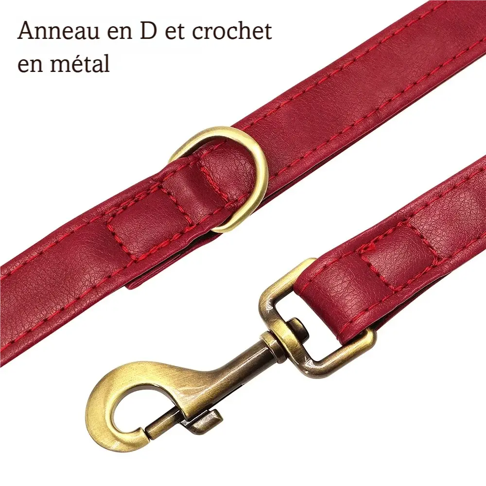 Détail de l’anneau D en métal et du mousqueton sur laisse pour chien en cuir PU rouge sur un fond blanc.