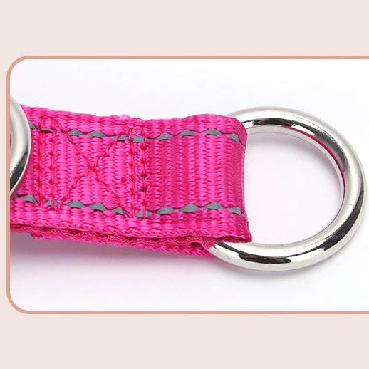 Gros plan sur l’anneau métallique d’un collier rose pour chien.