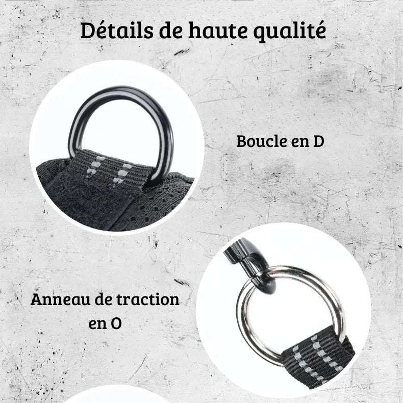 Gros plan sur les anneaux métalliques d’un collier noir pour chien.
