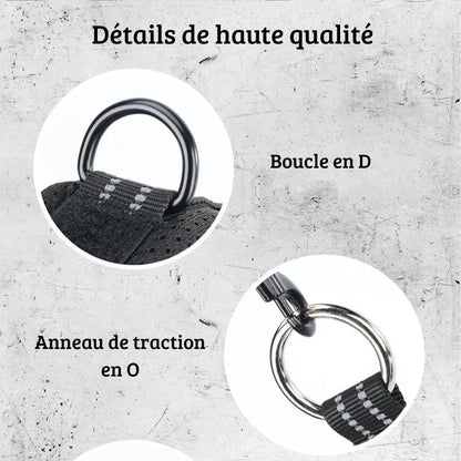 Gros plan sur les anneaux métalliques d’un collier noir pour chien.