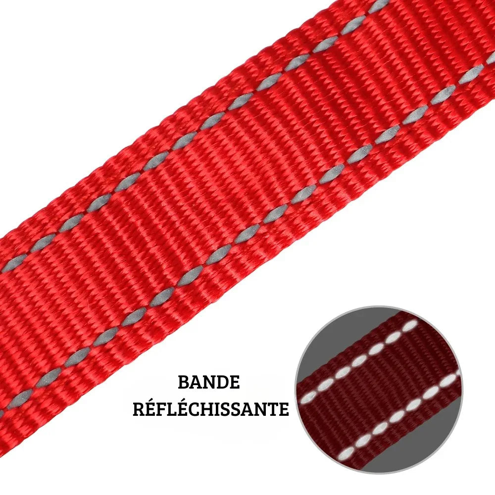 Gros plan sur la bande réfléchissante d’un collier rouge pour chien sur fond clair.