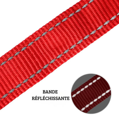 Gros plan sur la bande réfléchissante d’un collier rouge pour chien sur fond clair.