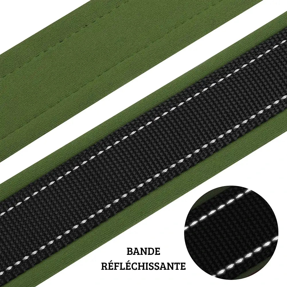 Gros plan sur la bande réfléchissante noire d’un collier vert pour chien.