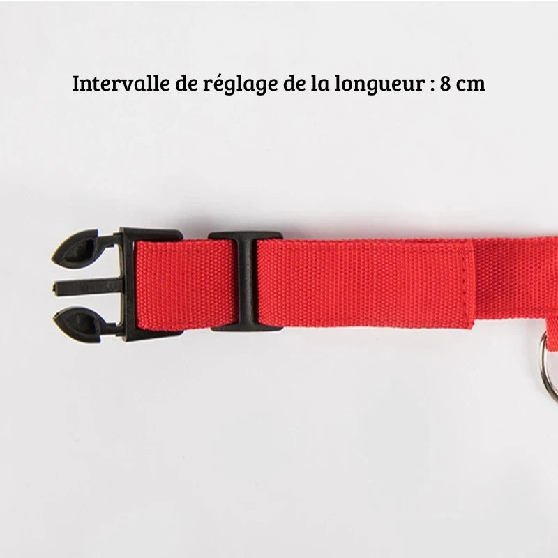 Détail de la boucle et de la sangle d’un collier rouge pour chien sur fond blanc.