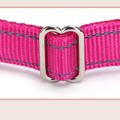 Gros plan sur la boucle de réglage métallique d’un collier rose pour chien.