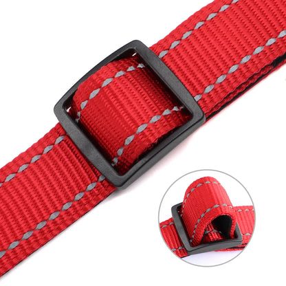 Gros plan sur le passant noir et la sangle avec coutures réfléchissantes d’un collier en nylon rouge sur fond clair.