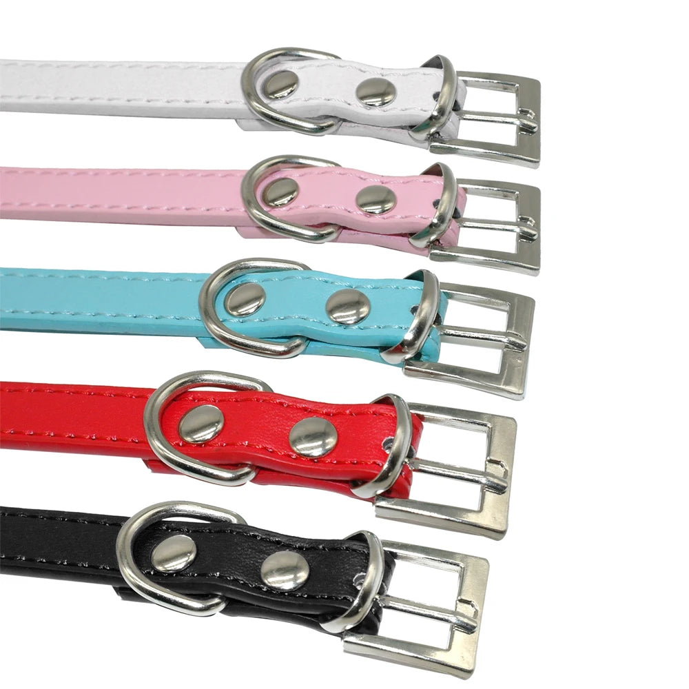 Vue rapprochée des attaches et boucles de colliers personnalisables pour chien en plusieurs couleurs.