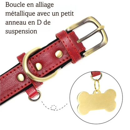 Détail de la boucle métal et de l’anneau D sur collier pour chien en cuir PU rouge présenté sur un fond blanc.