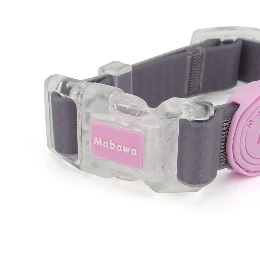 Gros plan sur la boucle transparente d’un collier pour chien gris et rose.
