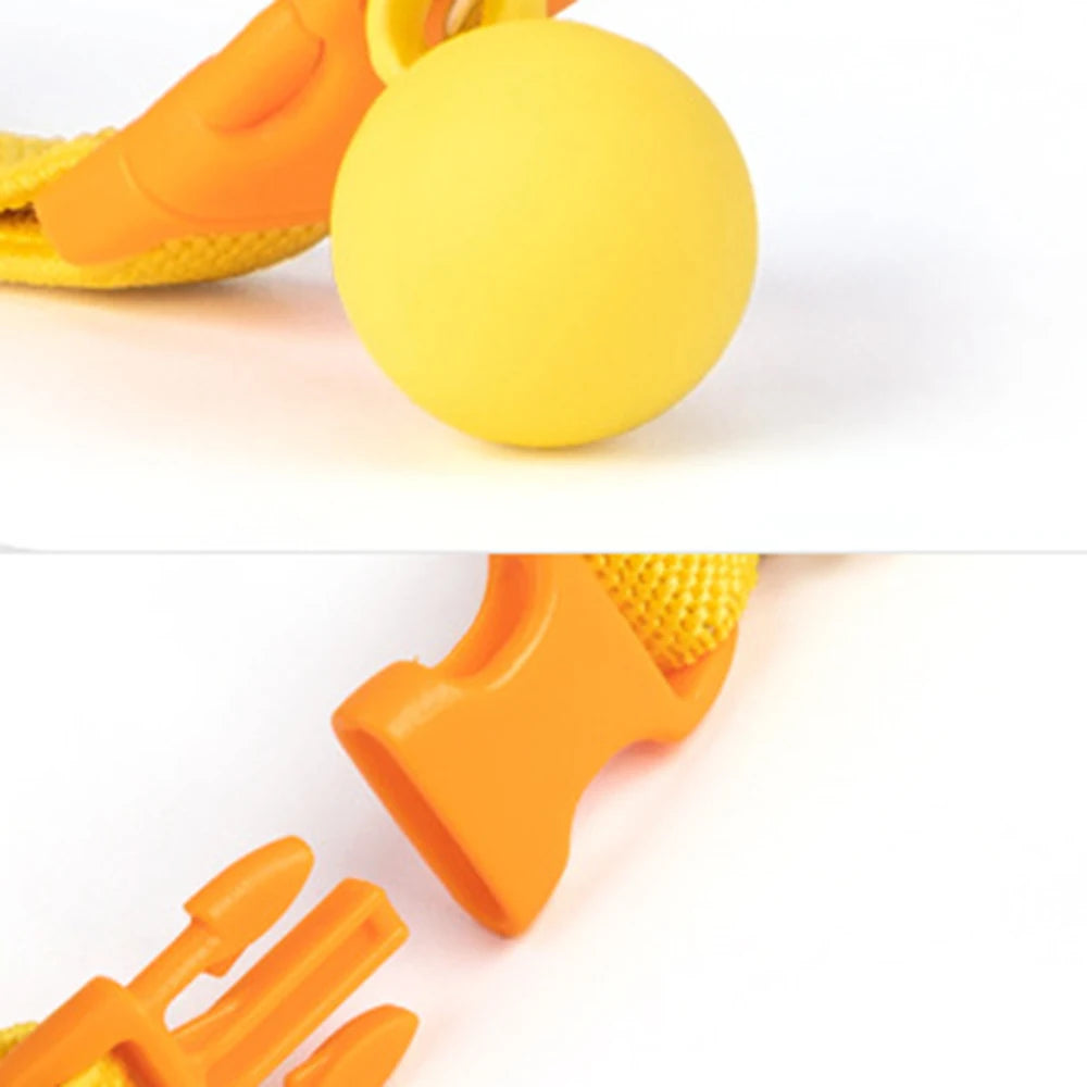 Gros plan sur une boule décorative jaune et une boucle orange de collier pour chiot.