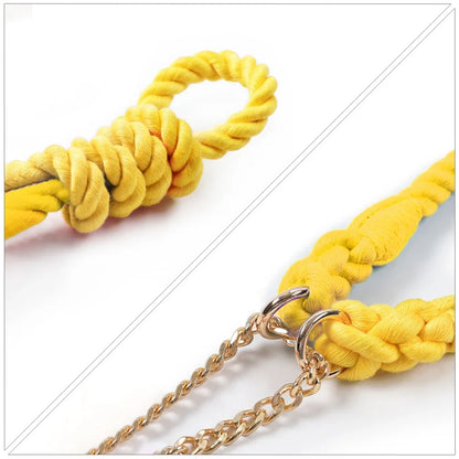 Gros plan sur les nœuds et la chaîne d’un collier pour chien en corde jaune sur fond blanc.