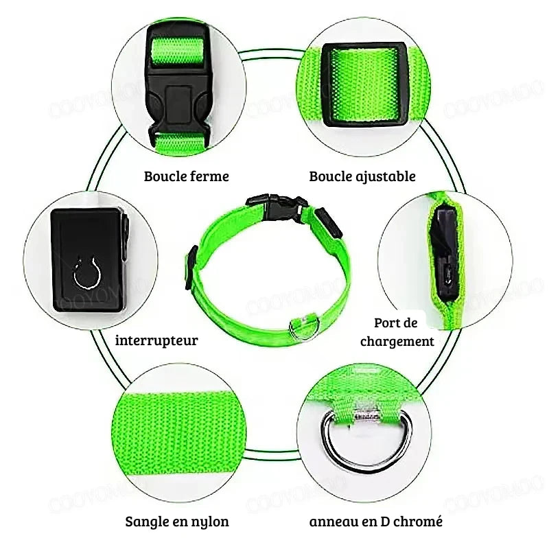 Schéma détaillé d’un collier lumineux vert pour chien avec boucle, port de charge et anneau.