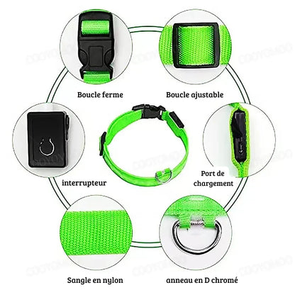 Schéma détaillé d’un collier lumineux vert pour chien avec boucle, port de charge et anneau.