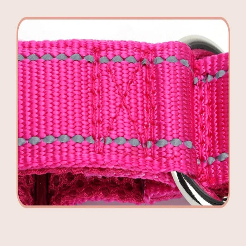 Gros plan sur les coutures d’un collier rose pour chien.