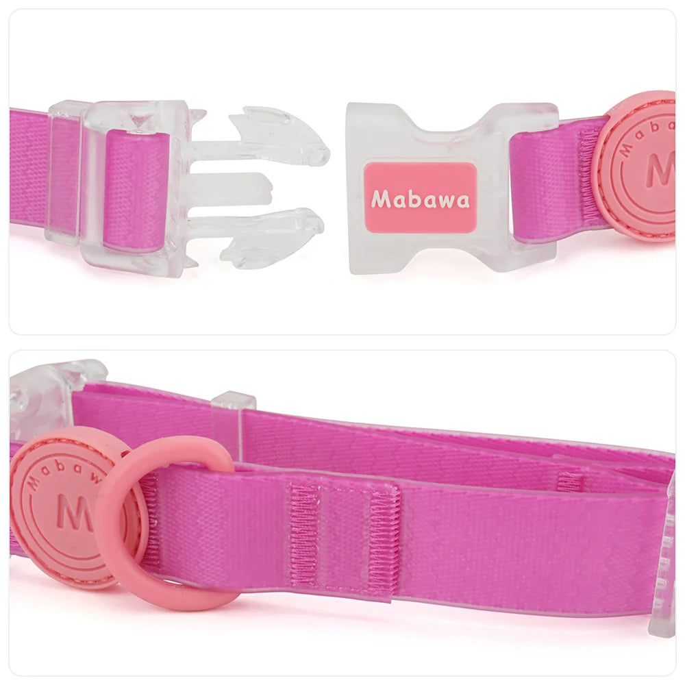 Gros plan sur la fermeture de la boucle transparente, la sangle et l’anneau rose du collier chien.