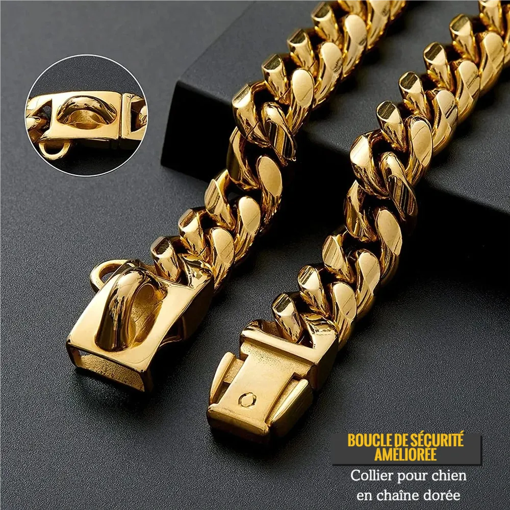 Gros plan sur le fermoir d’un collier chaîne doré pour chien.