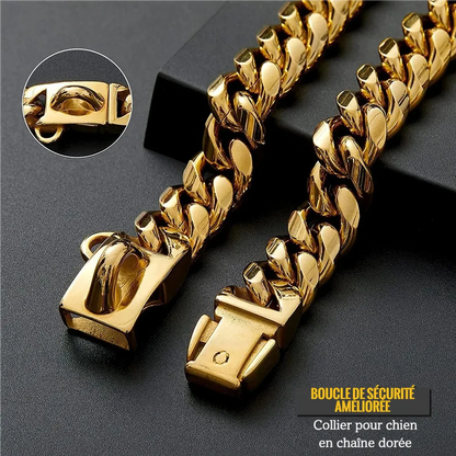 Gros plan sur le fermoir d’un collier chaîne doré pour chien.