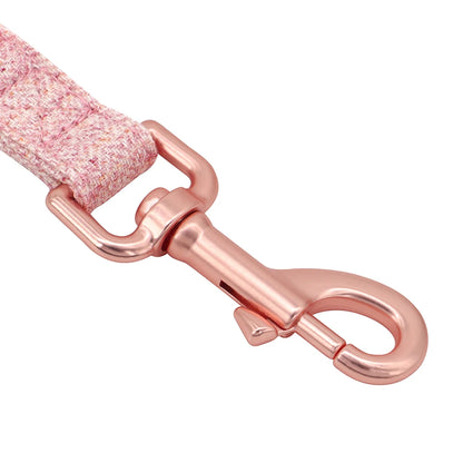 Gros plan sur le mousqueton métal rose de la laisse pour chien sur fond blanc.