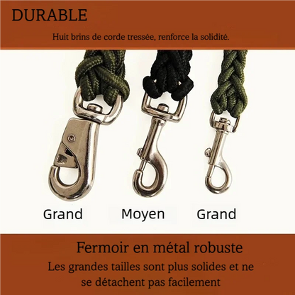 Détail des mousquetons métalliques d’une laisse tressée conçue pour grand chien.