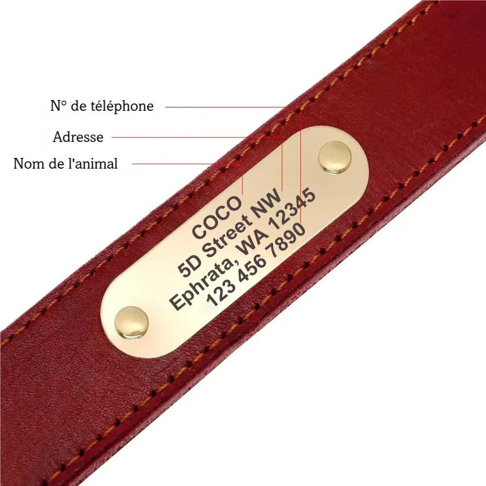 Détail de la plaque gravée personnalisable sur un collier pour chien en cuir avec nom, adresse et numéro de téléphone.
