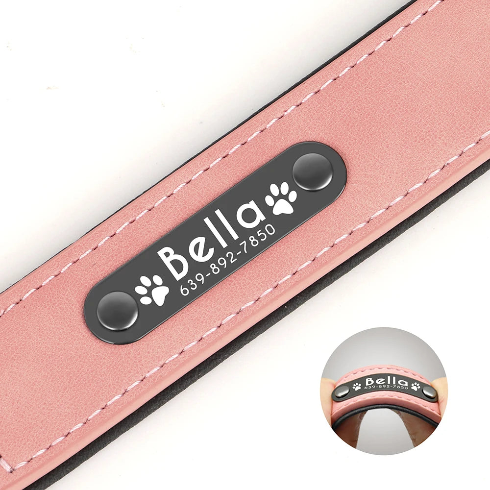 Gros plan sur la plaque noire gravée d’un collier en cuir rose pour chien.