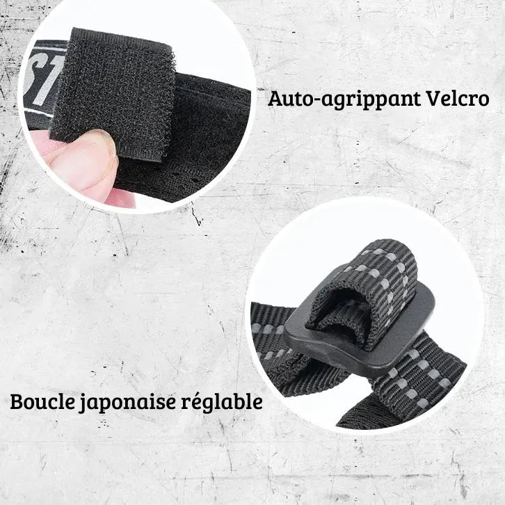Détail du velcro et de la boucle de réglage d’un collier noir pour chien.