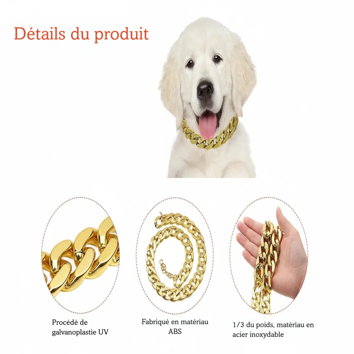 Visuel de détails produit montrant un chien blanc portant un collier chaîne doré et plusieurs gros plans.
