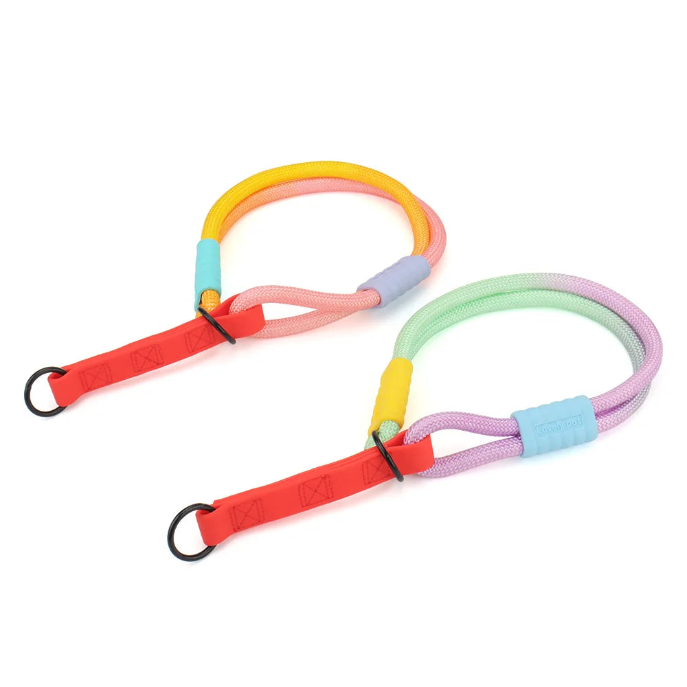 Deux colliers de dressage en corde multicolore vert, rose, violet et jaune, orange avec anneaux noirs sur un fond blanc.