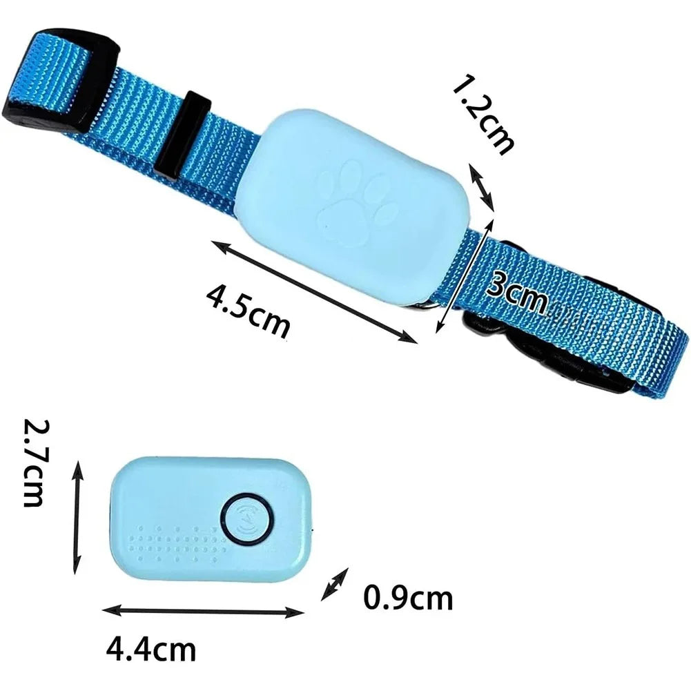 Collier bleu pour chien et boîtier séparé avec dimensions indiquées sur fond blanc.