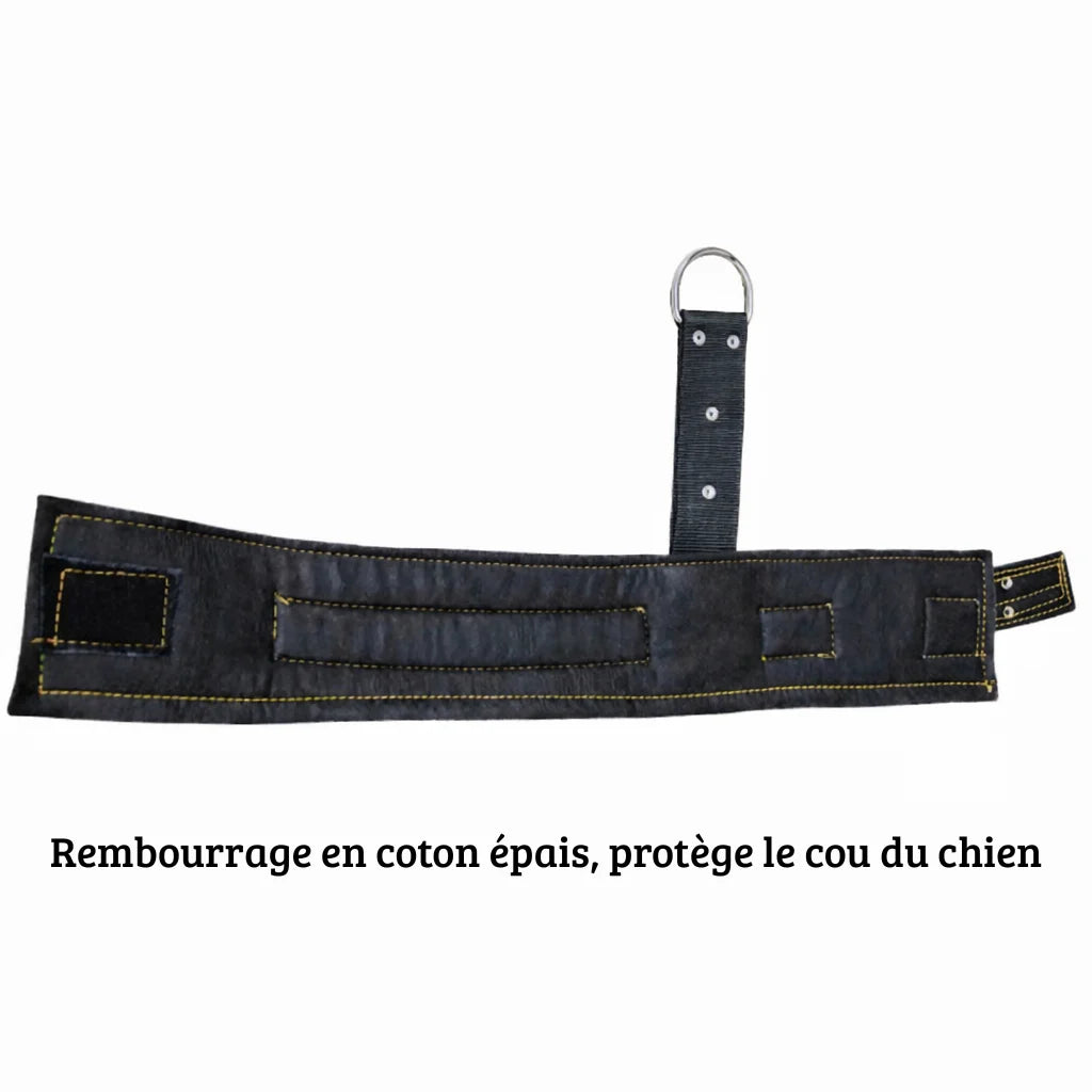 Vue intérieure du collier montrant le rembourrage épais destiné au confort du cou du chien sur fond blanc.