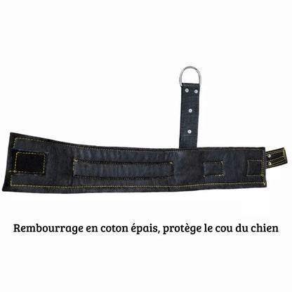 Vue intérieure du collier montrant le rembourrage épais destiné au confort du cou du chien sur fond blanc.
