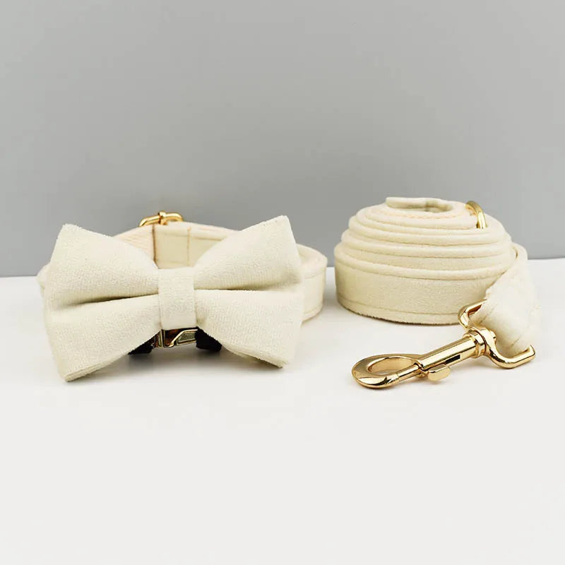Ensemble collier et laisse pour chien en velours beige avec nœud papillon assorti.