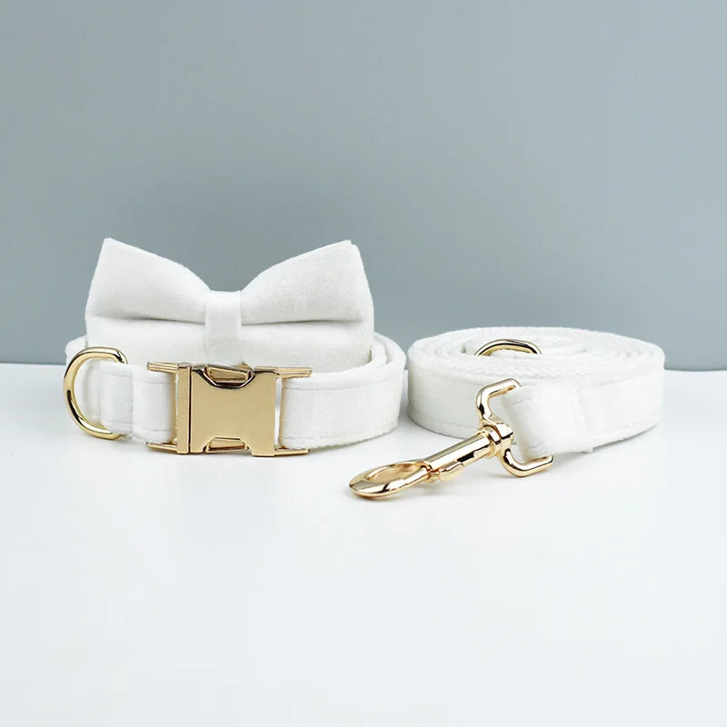 Ensemble collier et laisse pour chien en velours blanc avec nœud papillon.