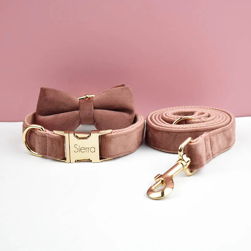 Ensemble collier et laisse pour chien en velours marron avec nœud papillon.