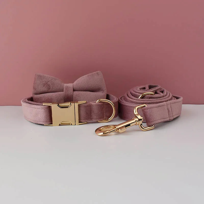 Ensemble collier et laisse pour chien en velours mauve avec nœud papillon.