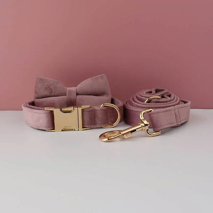 Ensemble collier et laisse pour chien en velours mauve avec nœud papillon.