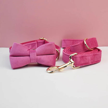 Ensemble collier et laisse pour chien en velours rose fuschia avec nœud papillon.