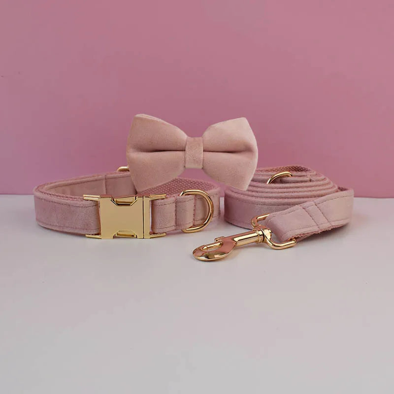 Ensemble collier et laisse pour chien en velours rose pâle avec nœud papillon.
