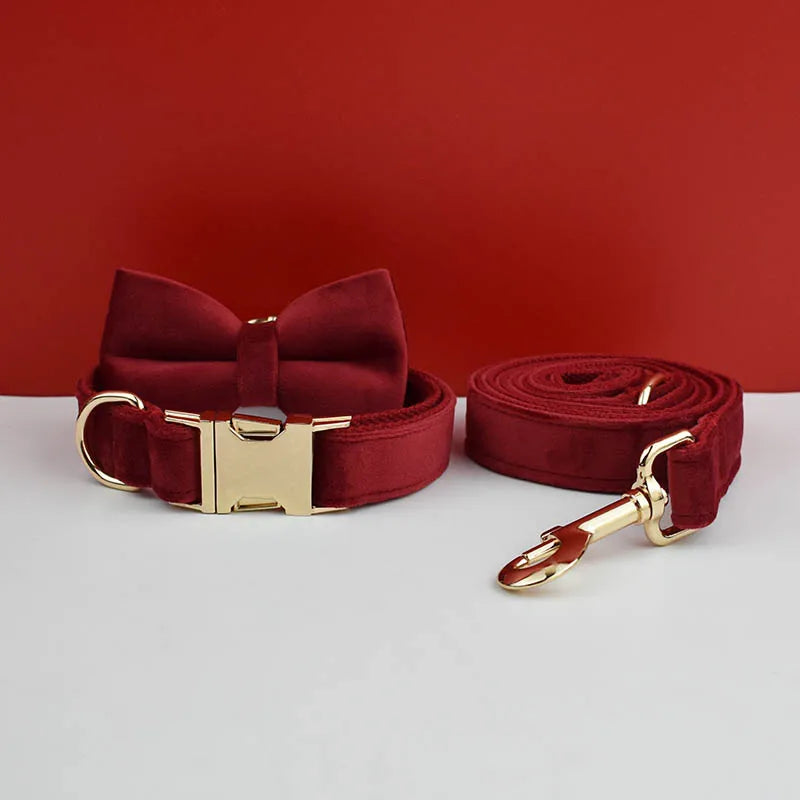 Ensemble collier et laisse pour chien en velours rouge avec nœud papillon.
