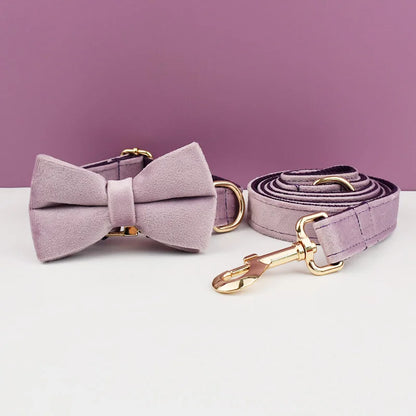 Ensemble collier et laisse pour chien en velours violet avec nœud papillon.