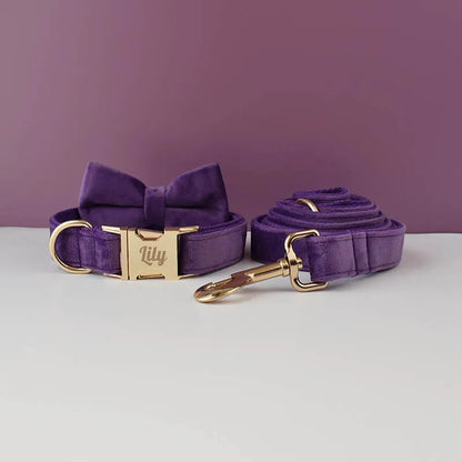 Ensemble collier et laisse pour chien en velours violet foncé avec nœud papillon.