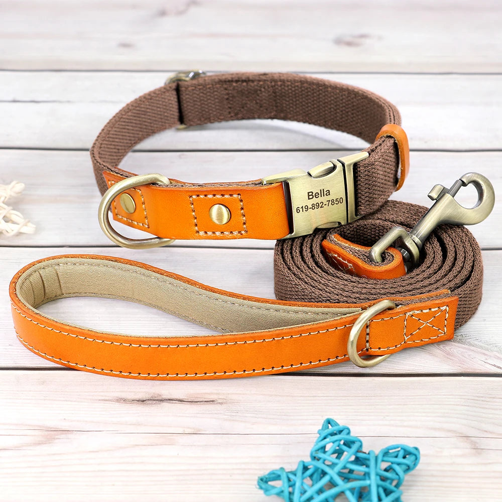 Ensemble collier et laisse marron pour chien avec boucle métal gravée présenté sur un fond en bois gris.
