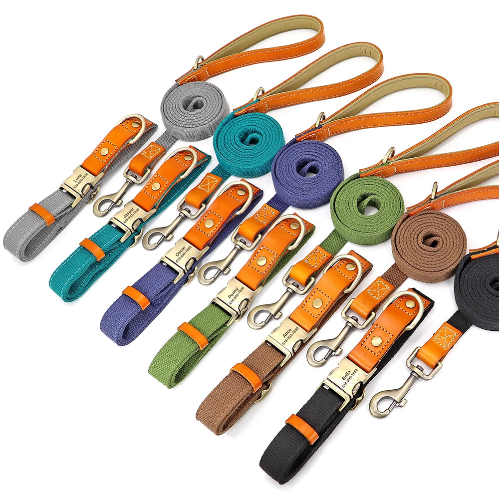 Gamme d’ensembles collier et laisse pour chien en nylon avec finitions cuir orange présentés alignés sur un fond blanc.