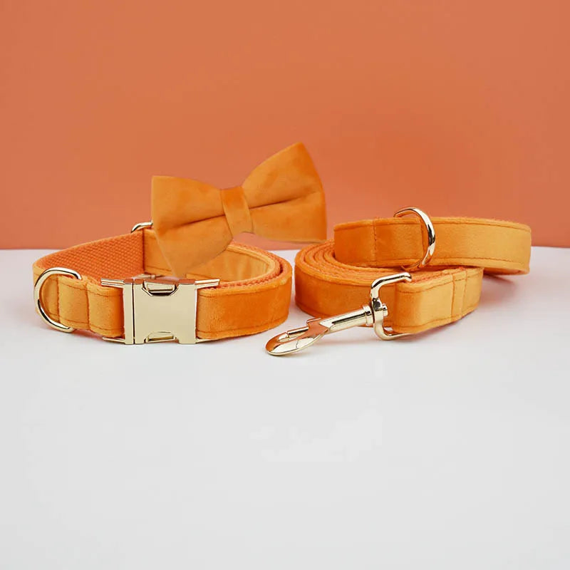 Ensemble collier et laisse pour chien en velours orange avec nœud papillon assorti.