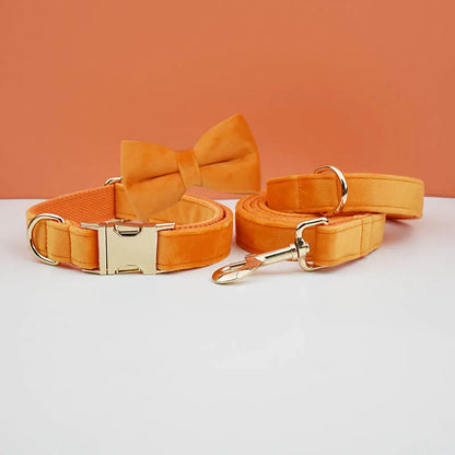 Ensemble collier et laisse pour chien en velours orange avec nœud papillon assorti.