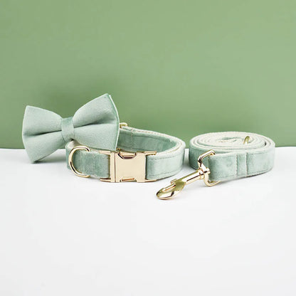 Ensemble collier et laisse pour chien en velours vert clair avec nœud papillon assorti.